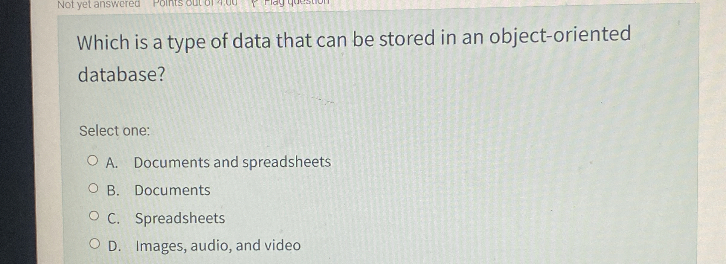 Which is a type of data that can be stored in an