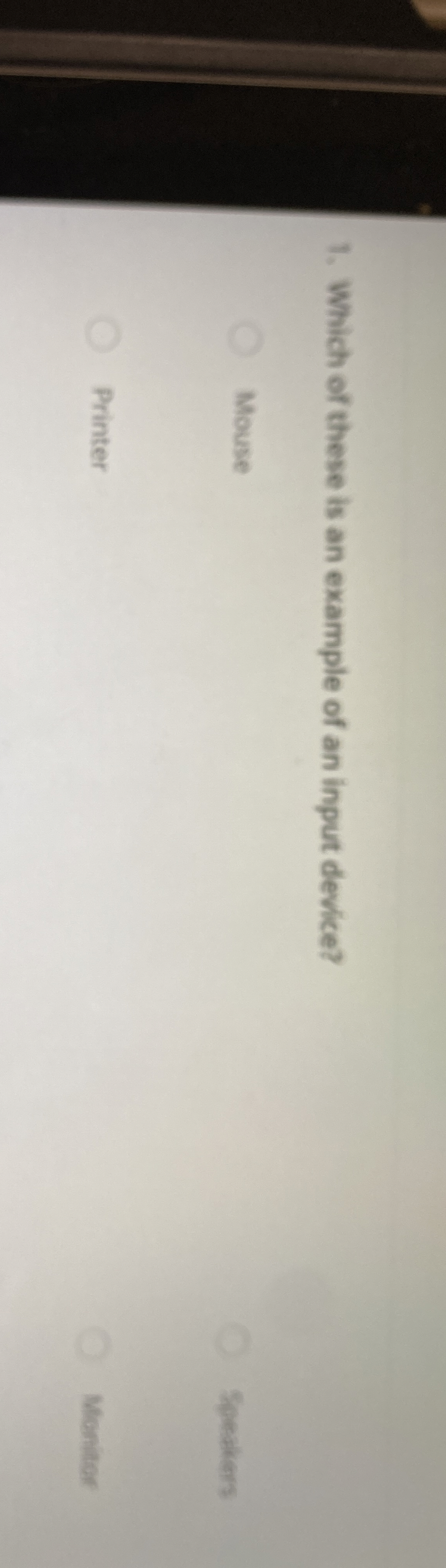 Which of these is an example of an input device?