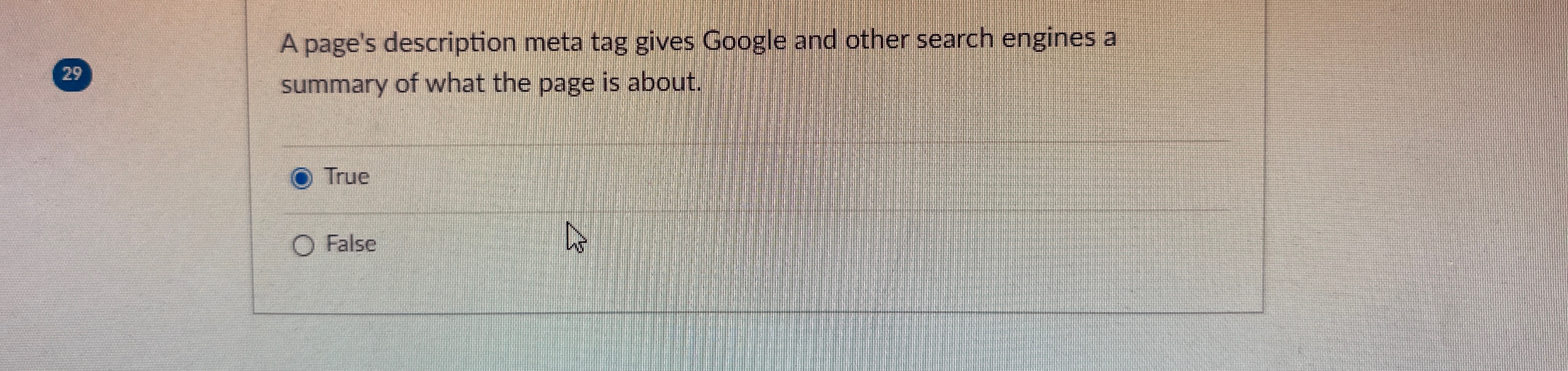 A page's description meta tag gives Google and