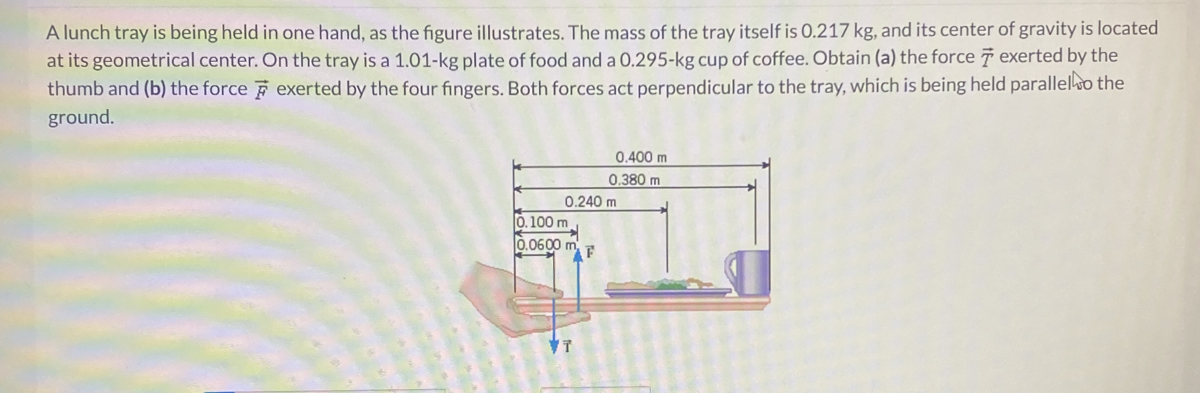 A lunch tray is being held in one hand, as the