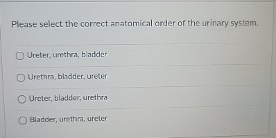 Please select the correct anatomical order of the
