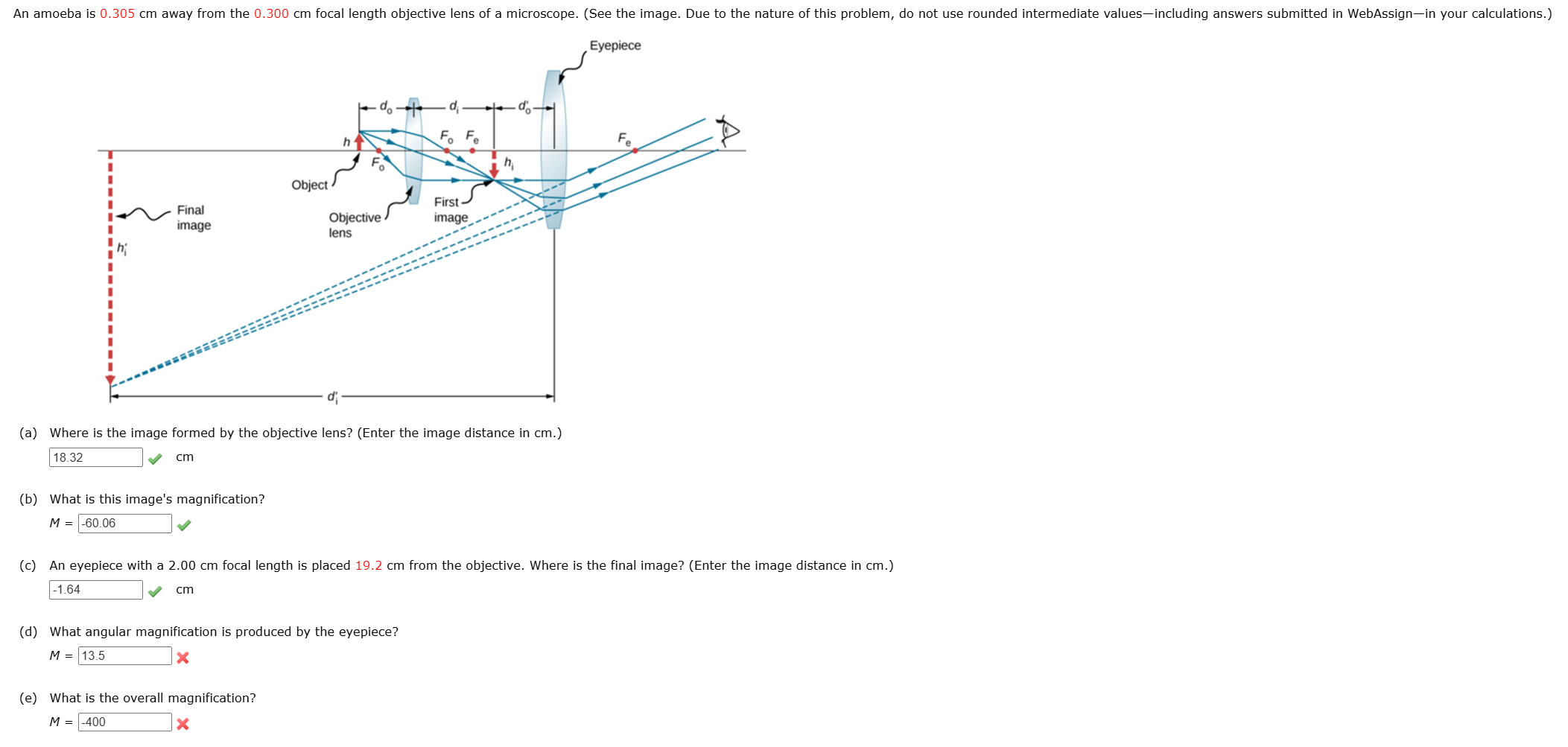 Evaniama ( a ) Where cm ( b ) What is this