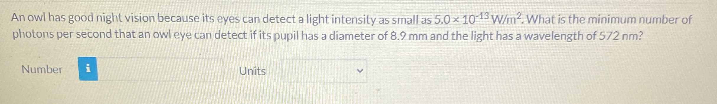An owl has good night vision because its eyes can