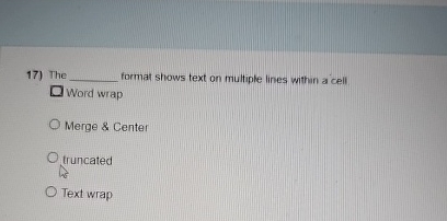 The format shows text on multiple lines within a