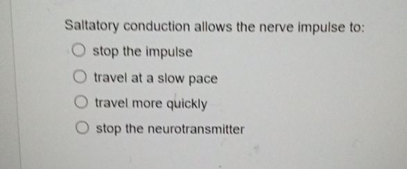 Saltatory conduction allows the nerve impulse to: