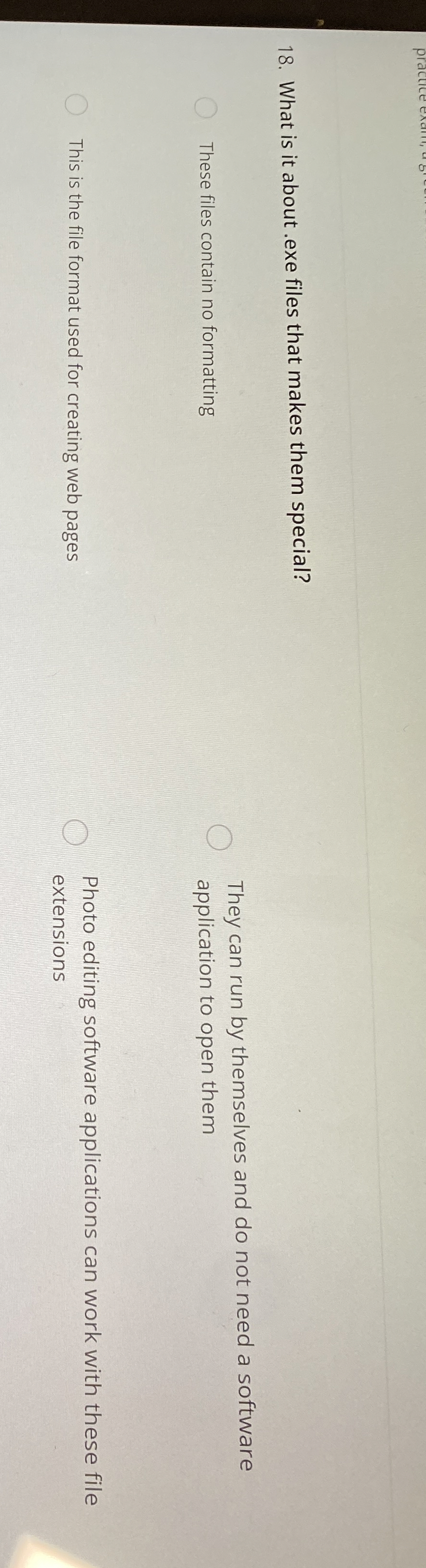 ? What is it about . exe files that makes them