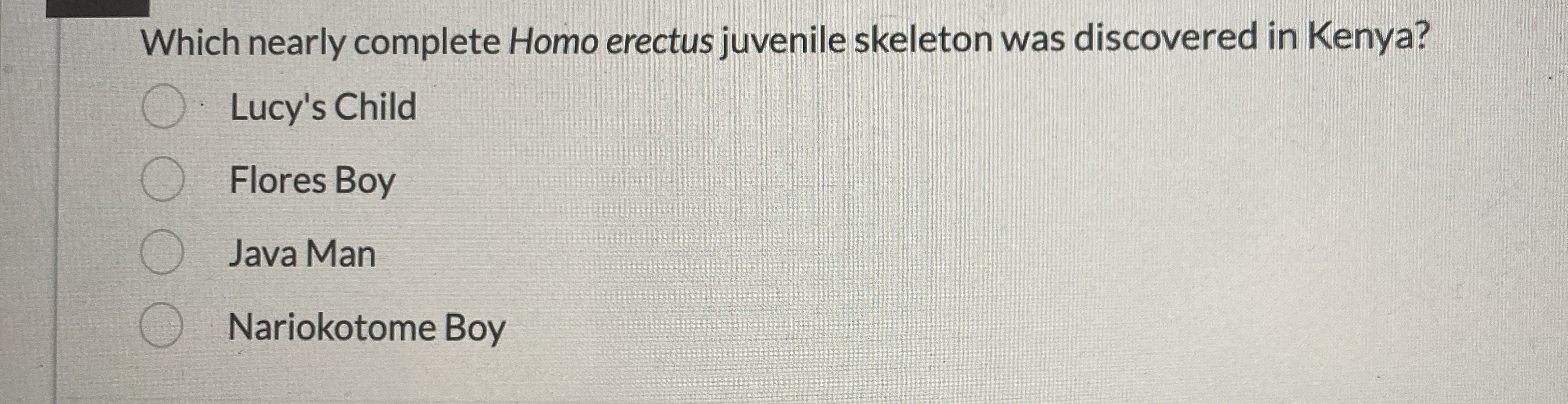 Which nearly complete Homo erectus juvenile