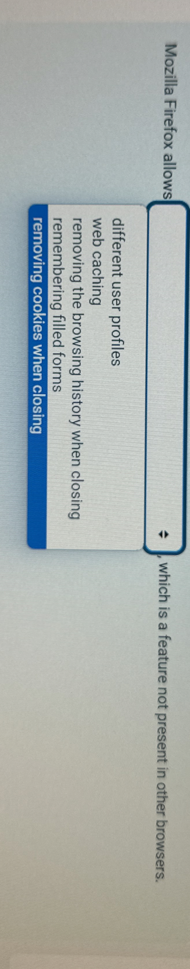 Mozilla Firefox allows which is a feature not