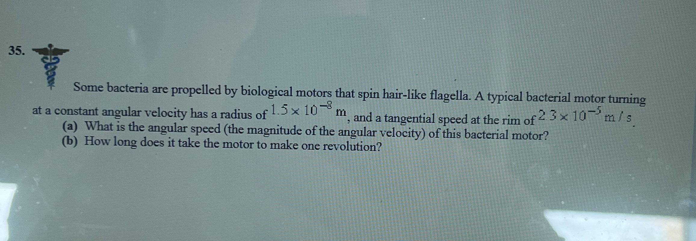 Some bacteria are propelled by biological motors