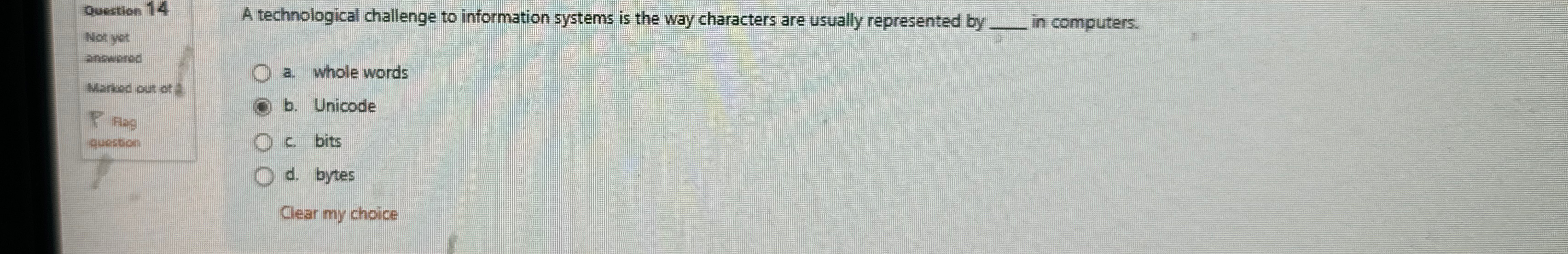 A technological challenge to information systems