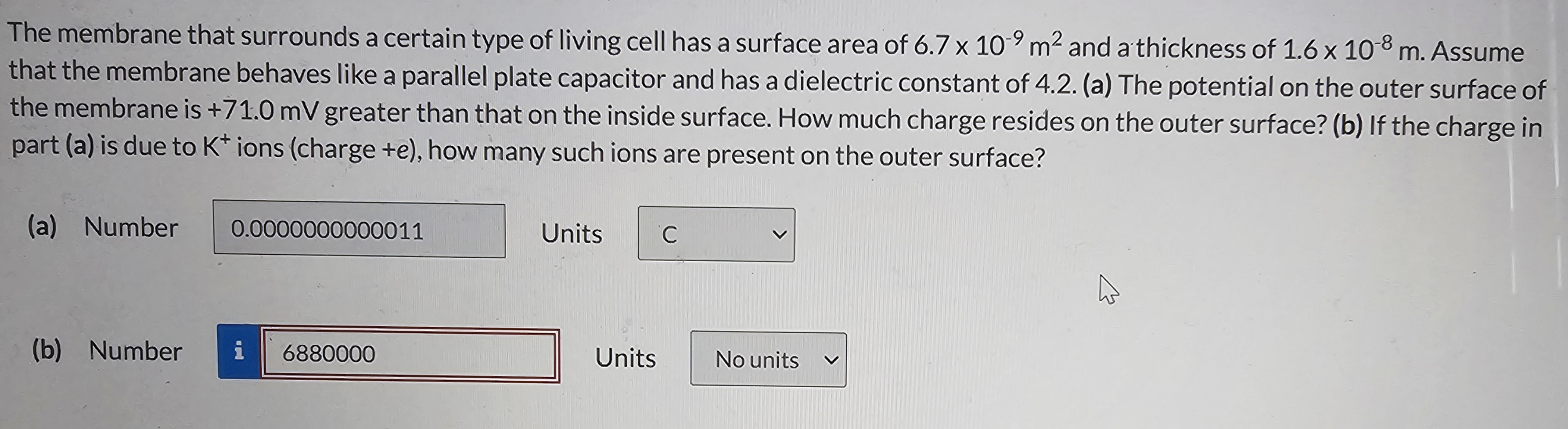 The membrane that surrounds a certain type of