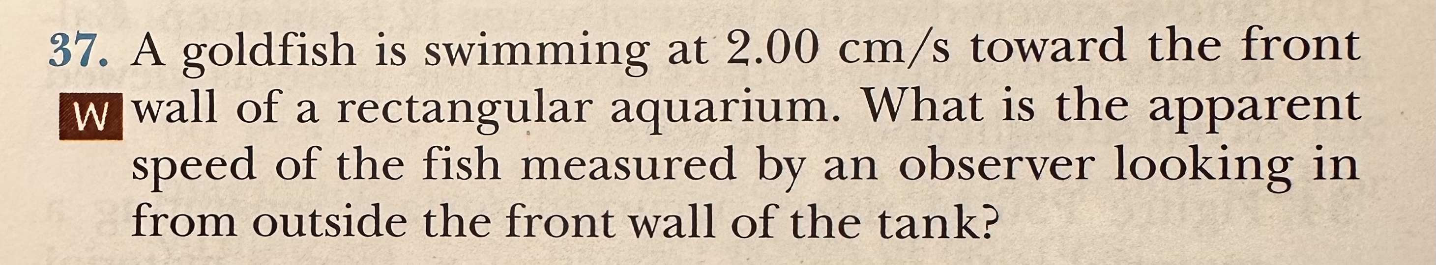 A goldfish is swimming at 2 . 0 0 c m s toward