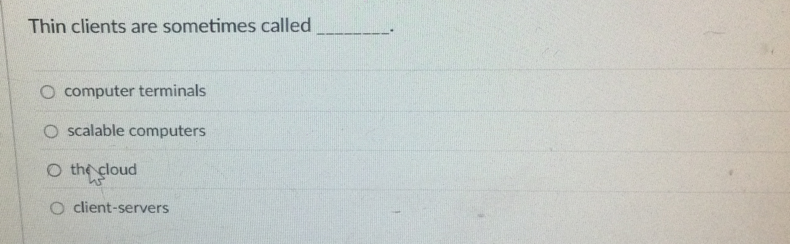 Thin clients are sometimes called computer