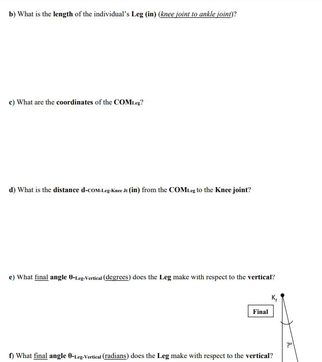 b ) What is the length of the individual's Leg (