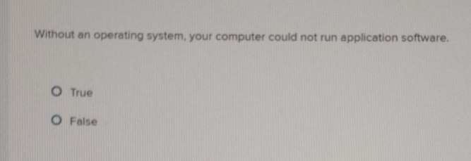Without an operating system, your computer could