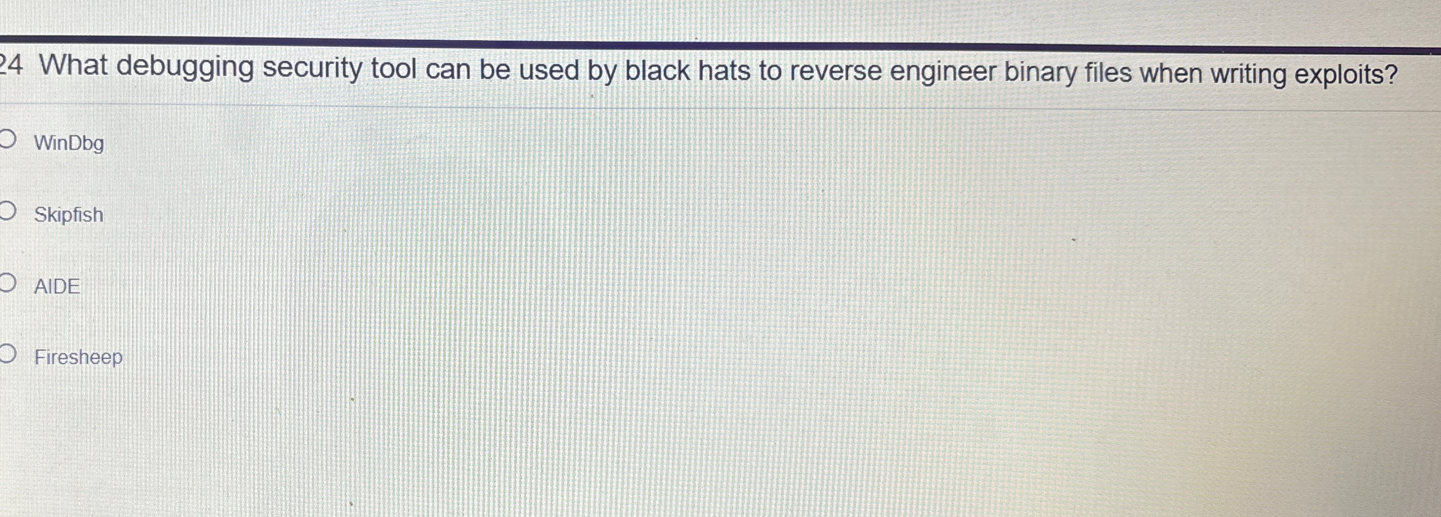 2 4 What debugging security tool can be used by