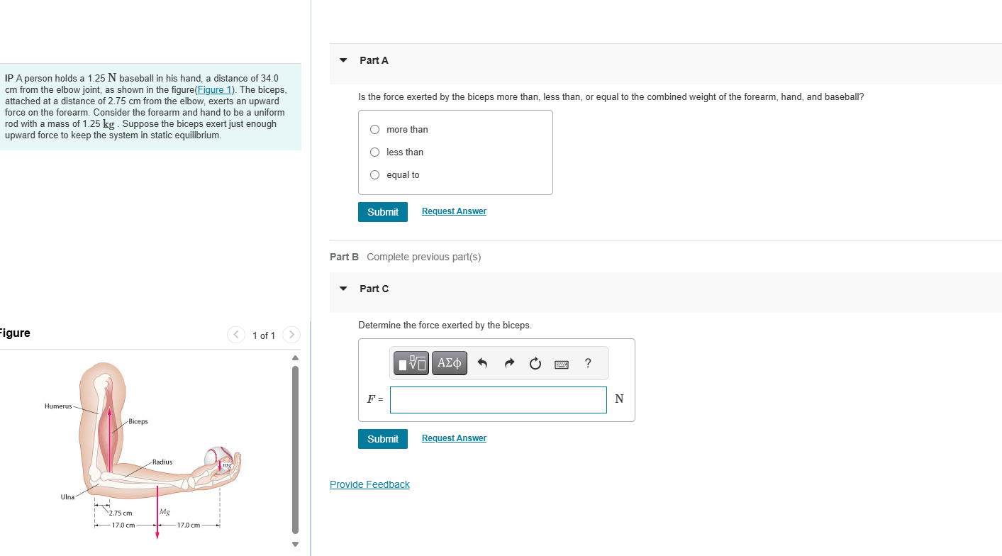 IP A person holds a 1 . 2 5 N baseball in his