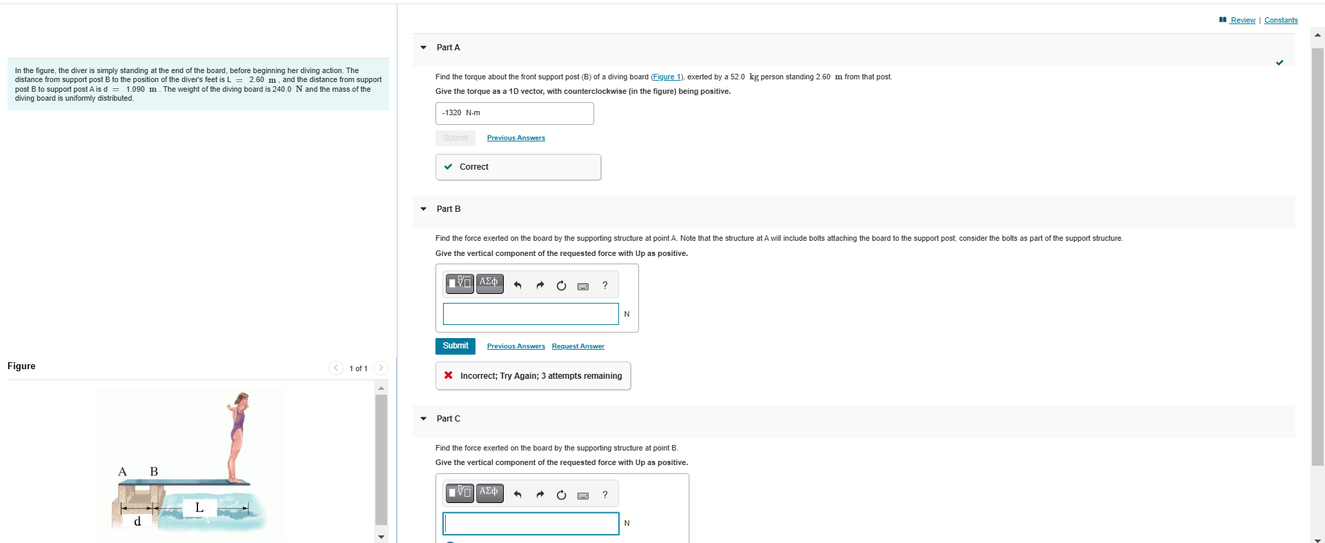 In the figure, the diver is simply standing at