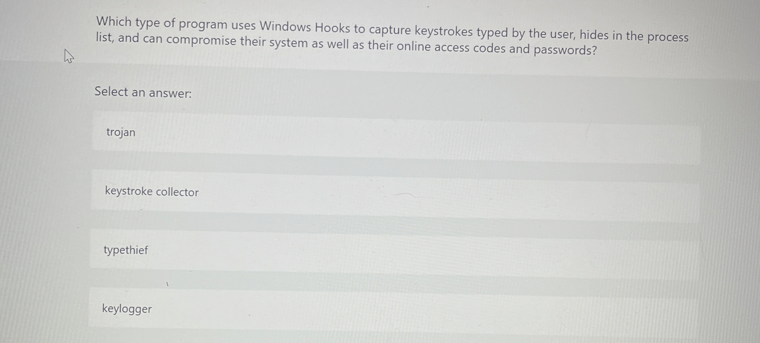 Which type of program uses Windows Hooks to