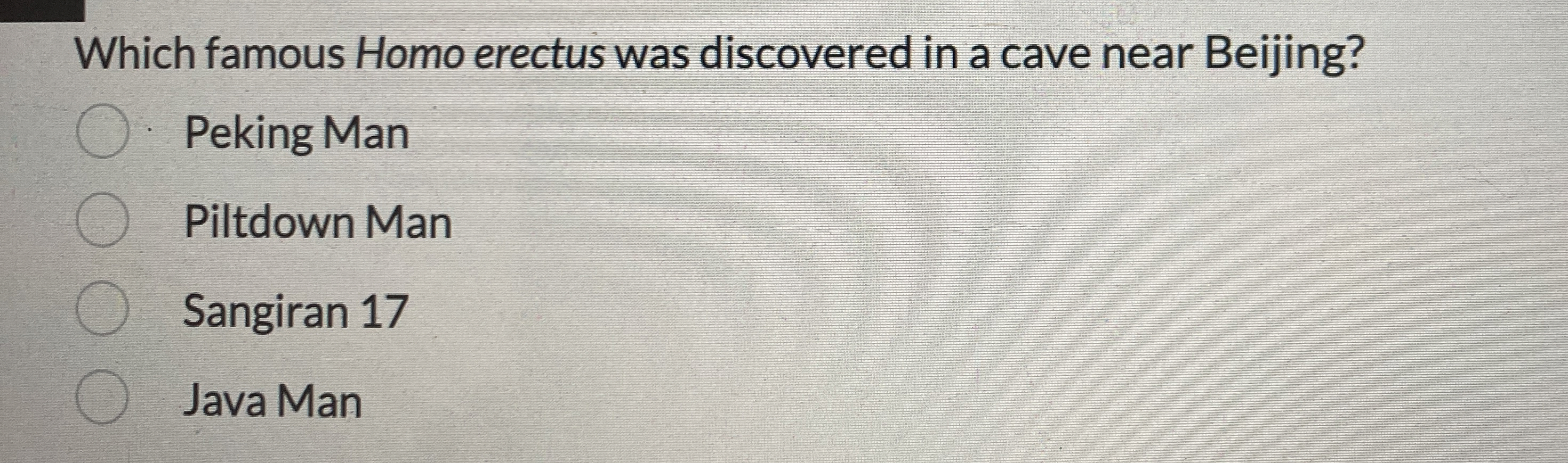 Which famous Homo erectus was discovered in a