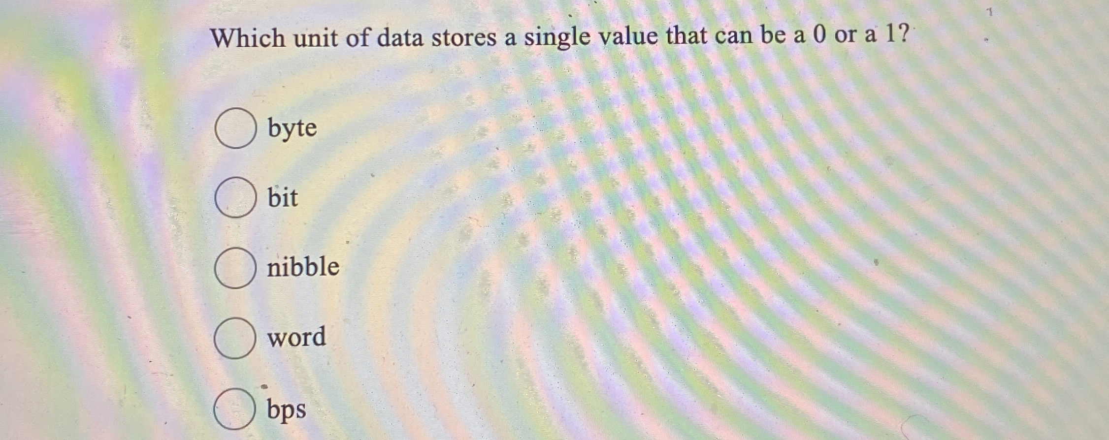 Which unit of data stores a single value that can