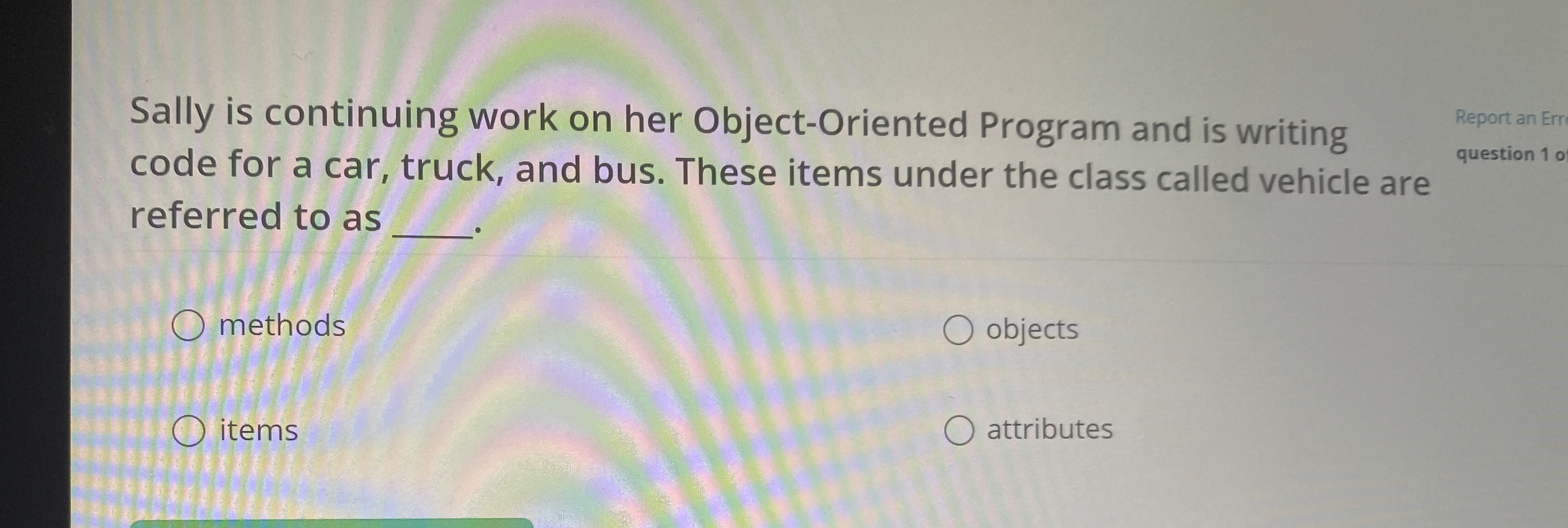 Sally is continuing work on her Object - Oriented