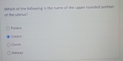 Which of the following is the name of the upper