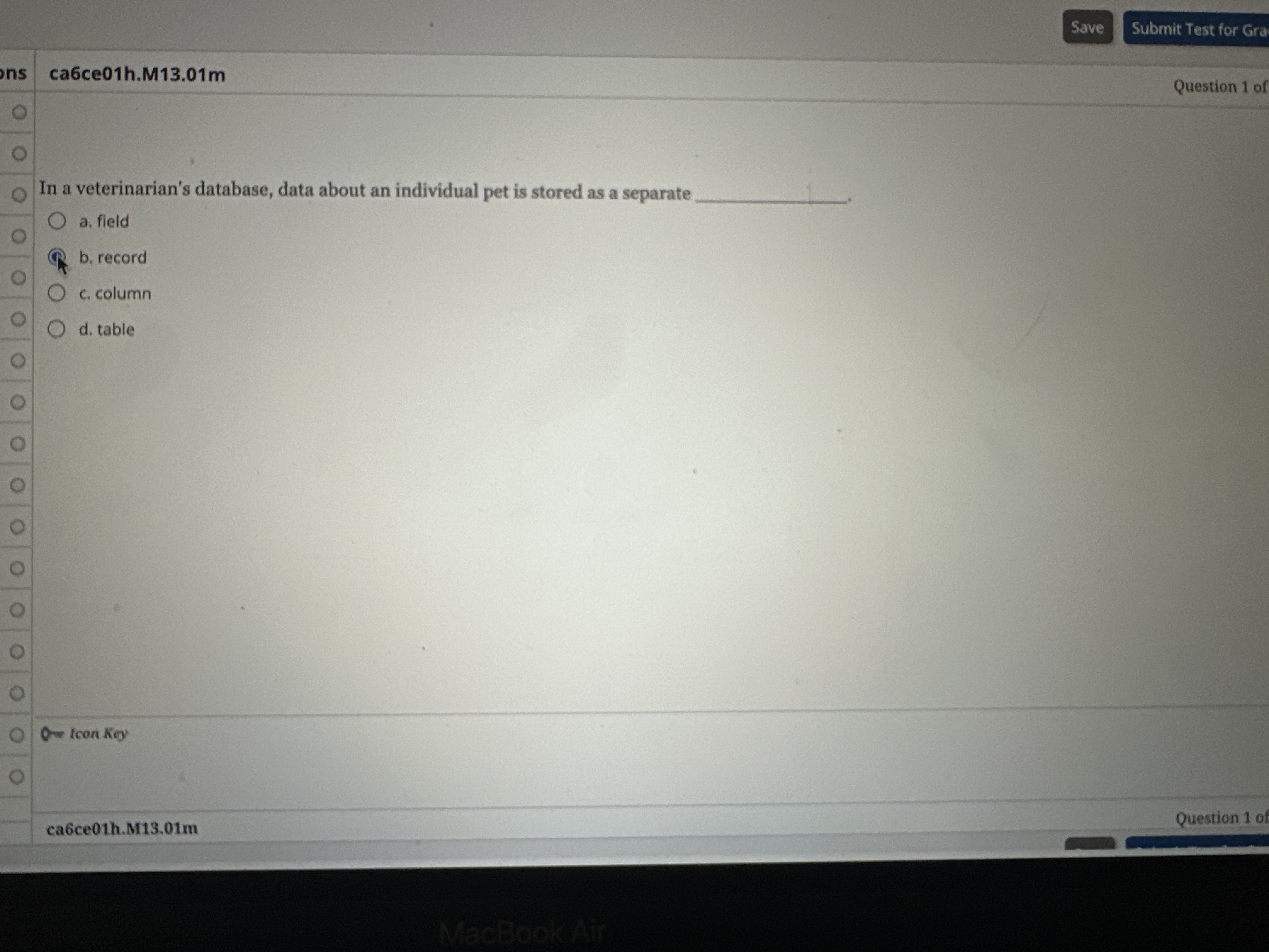 In a veterinarian's database, data about an