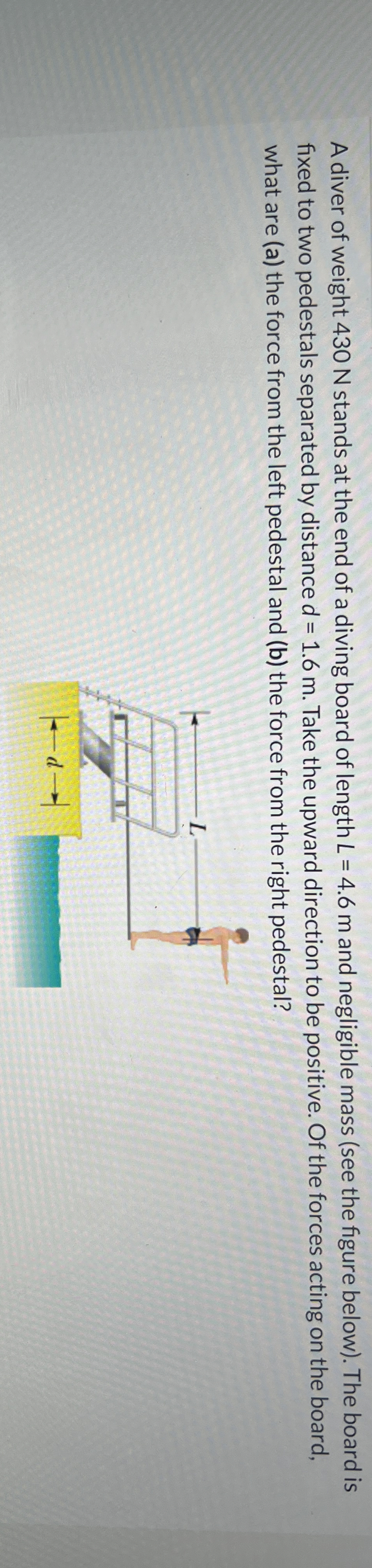 A diver of weight 4 3 0 N stands at the end of a