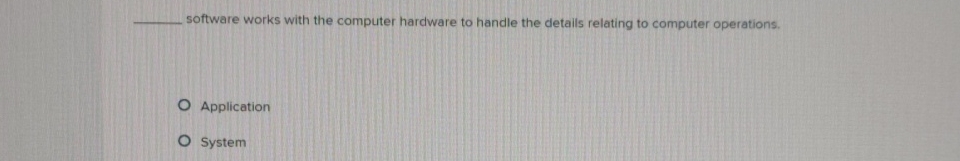 software works with the computer hardware to