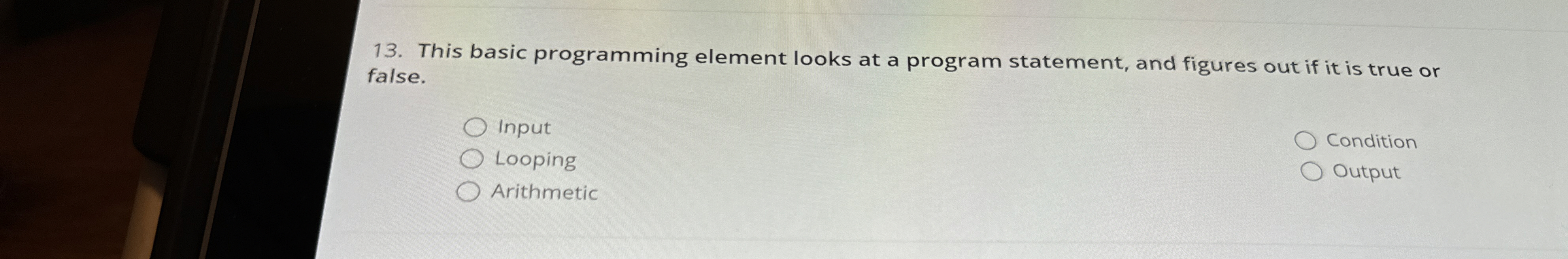 This basic programming element looks at a program