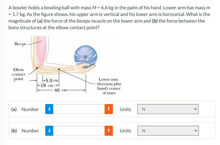 A bowler holds a bowling ball with mass \ ( M = 6
