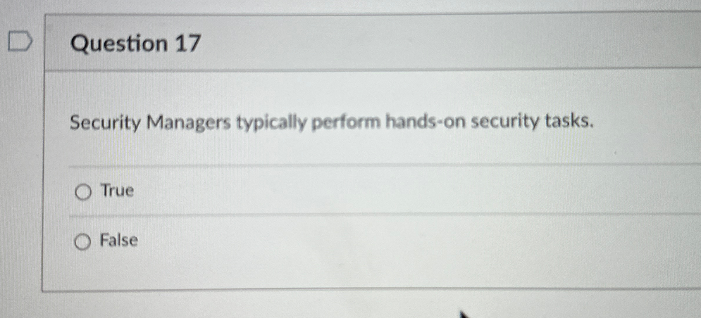 Question 1 7 Security Managers typically perform