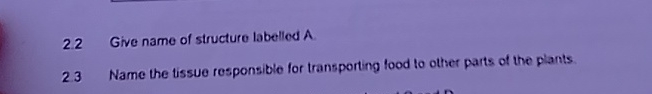 2 . 2 Give name of structure labelled A 2 3 Name