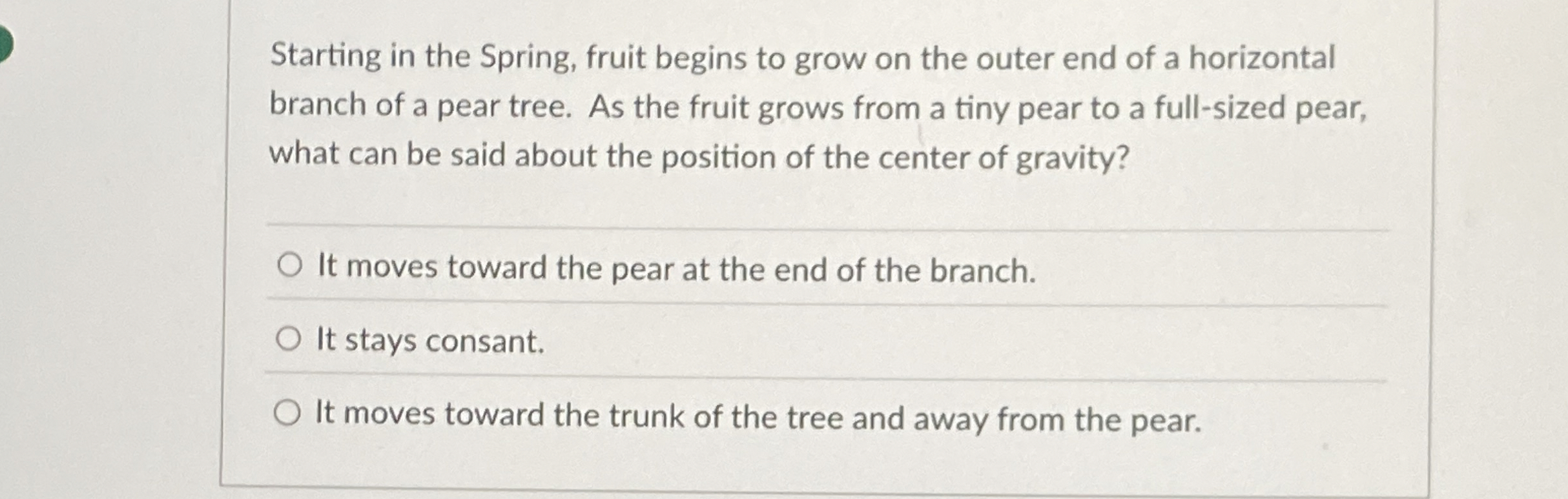 Starting in the Spring, fruit begins to grow on