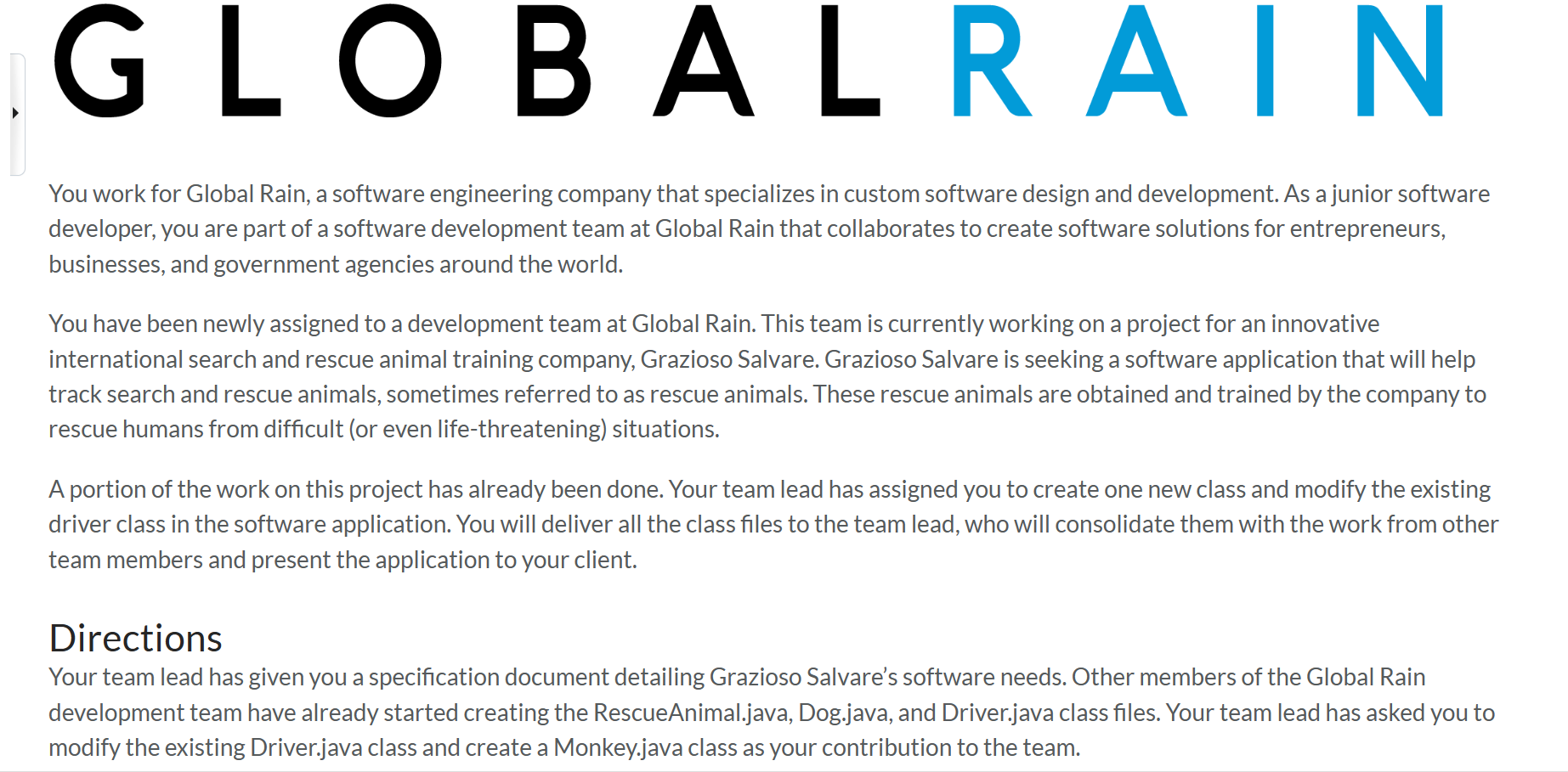 Directions Your team lead has given you a