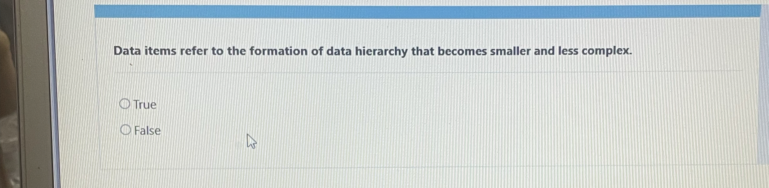 Data items refer to the formation of data