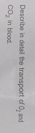 Describe in detail the transport of O 2 and C O 2