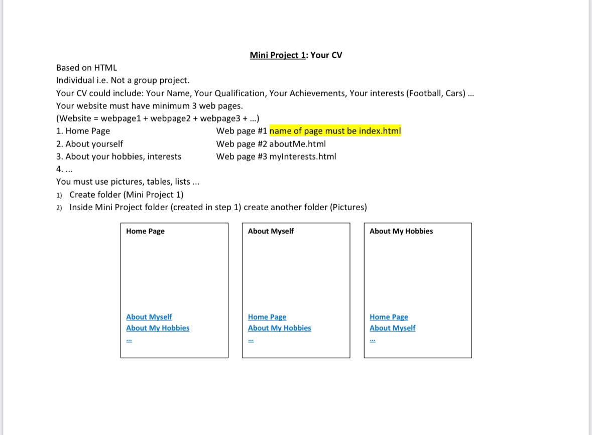Mini Project 1 : Your CV Based on HTML Individual