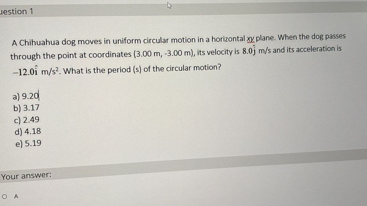 lestion 1 A Chihuahua dog moves in uniform