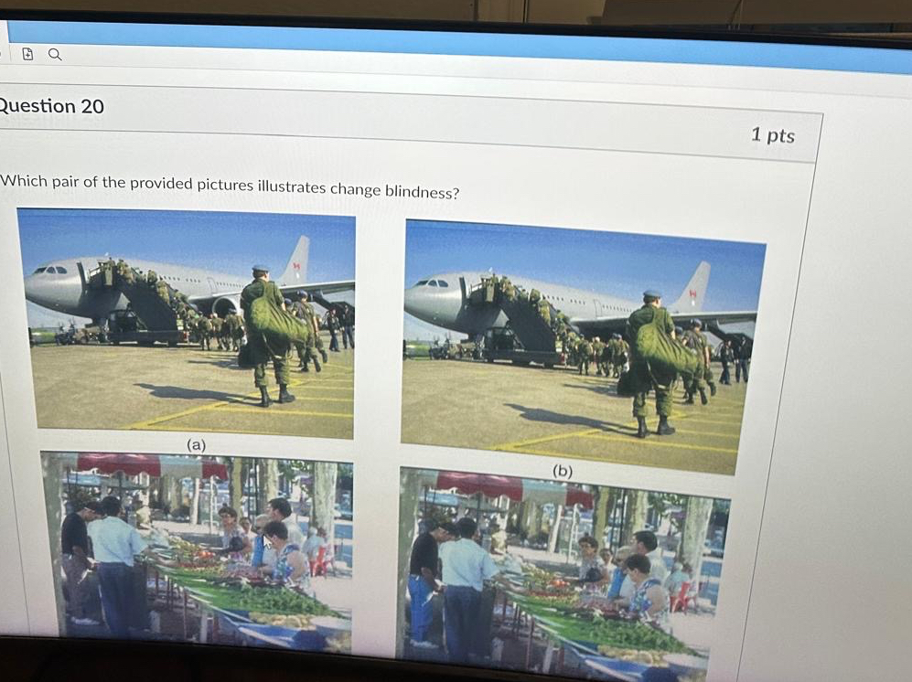 Question 2 0 1 p t s Which pair of the provided