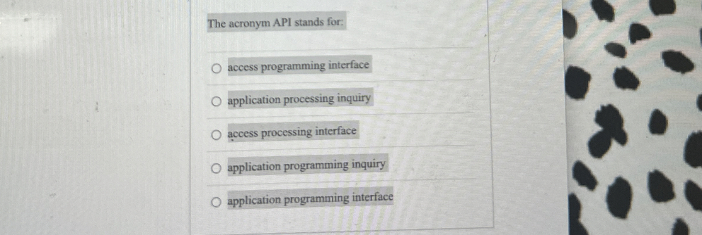 The acronym API stands for: access programming