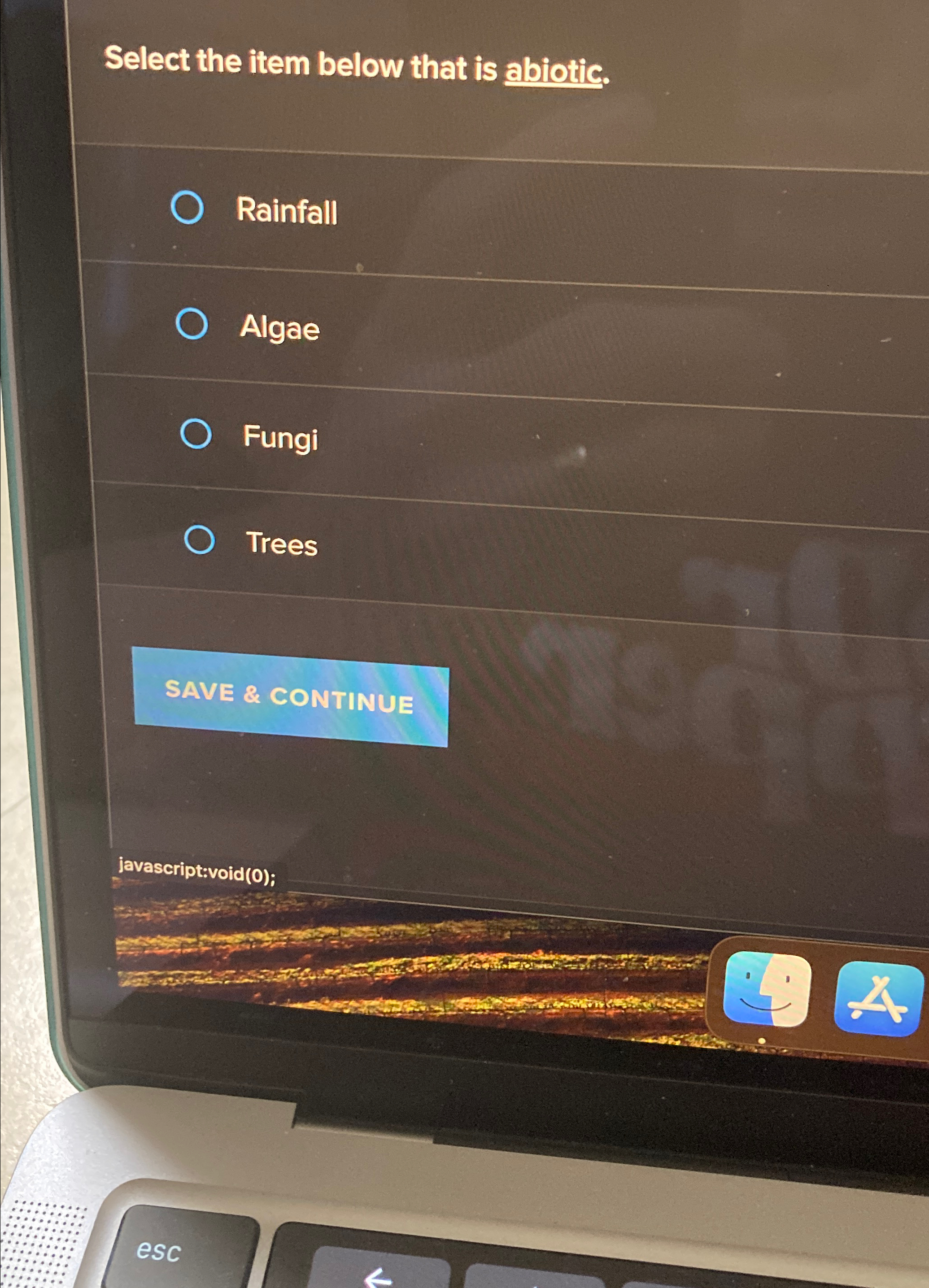 Select the item below that is abiotic. Rainfall