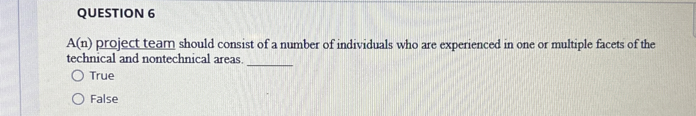QUESTION 6 A ( n ) project team should consist of