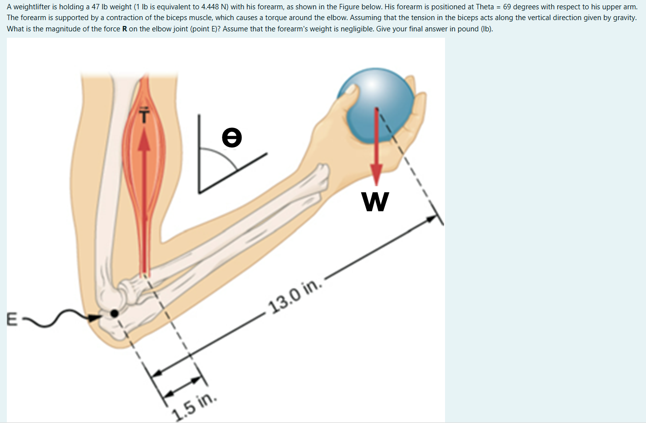 A weightlifter is holding a 4 7 lb weight ( 1 lb