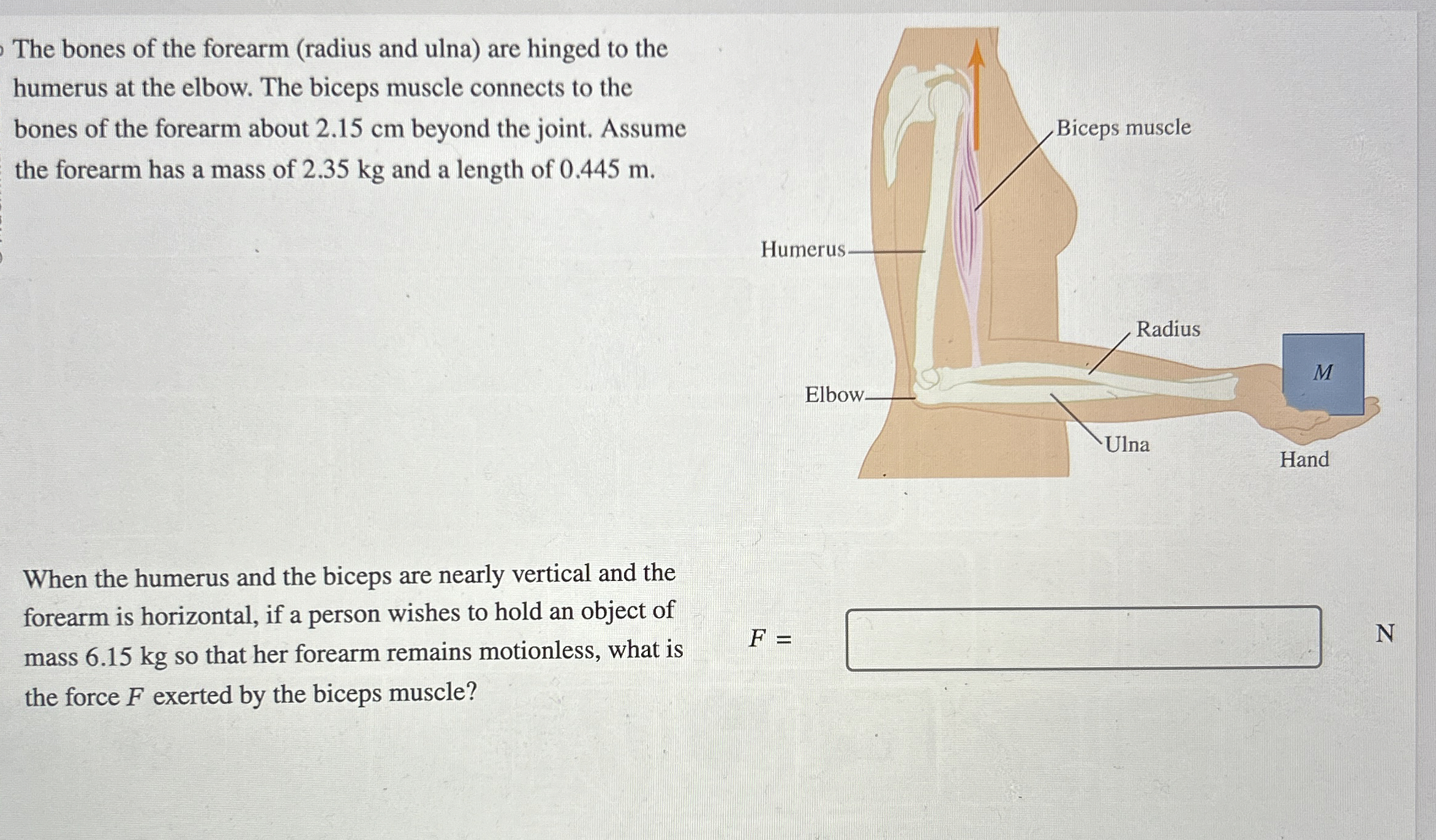 The bones of the forearm ( radius and ulna ) are