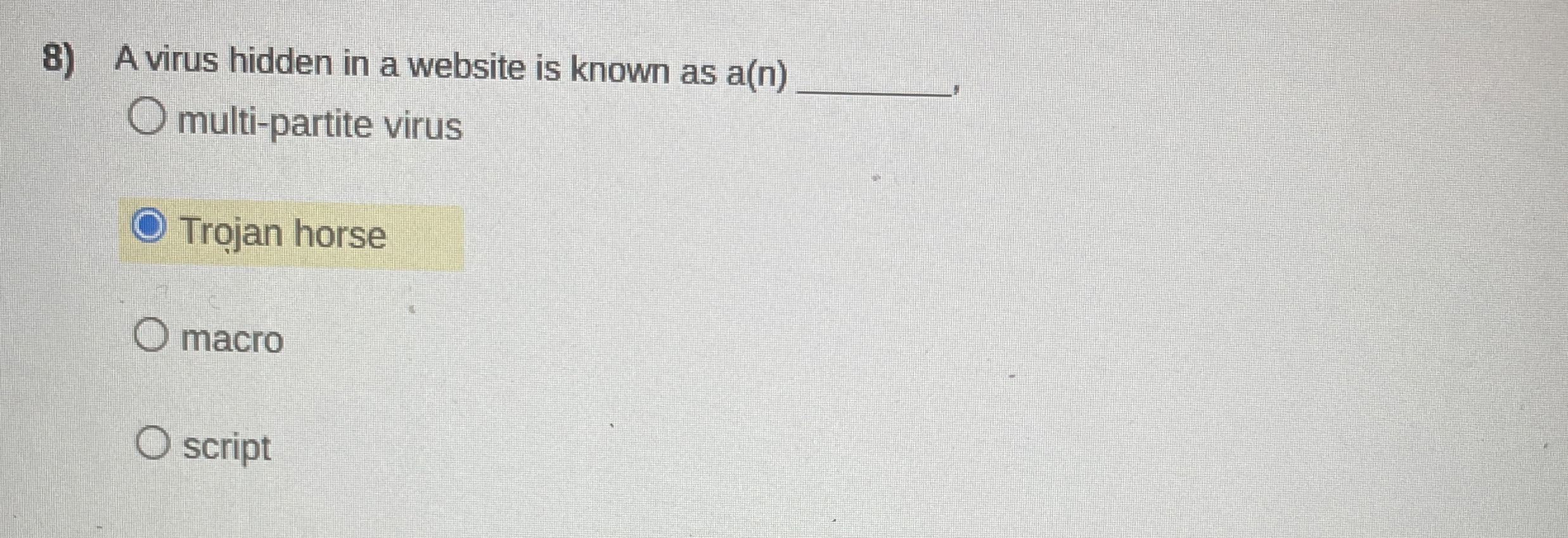 A virus hidden in a website is known as a ( n )