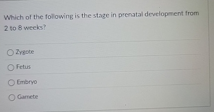 Which of the following is the stage in prenatal