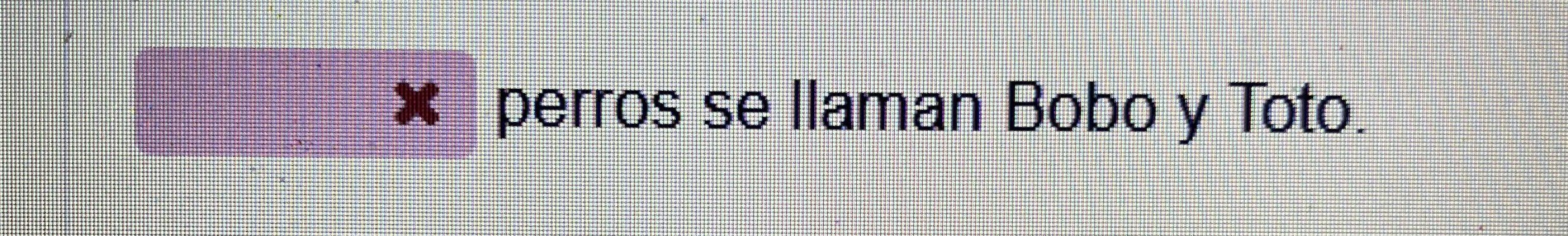 perros se llaman Bobo y Toto