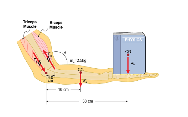 The figure shows the arm of a person holding a